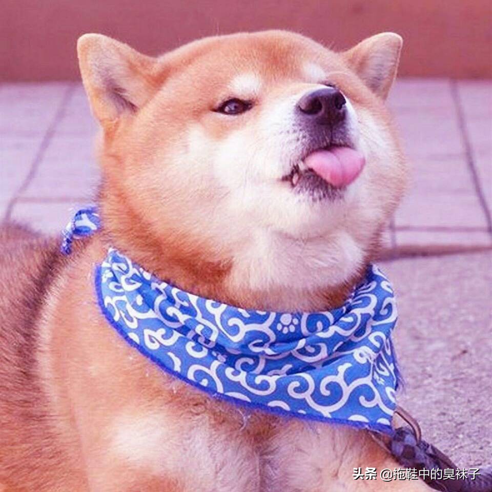 笔记本电池锁死激活简单方法,笔记本电脑电池锁频