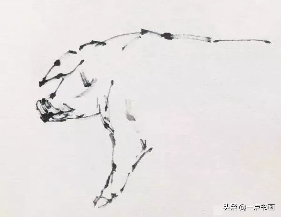 简单猪画画教学,国画写意猪图大全