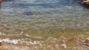 外伶仃岛一天的攻略,外伶仃岛适合玩一天还是两天