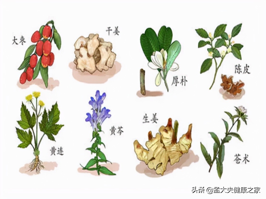 中药造成的药物性肝损伤,中药造成肝损伤看什么指标