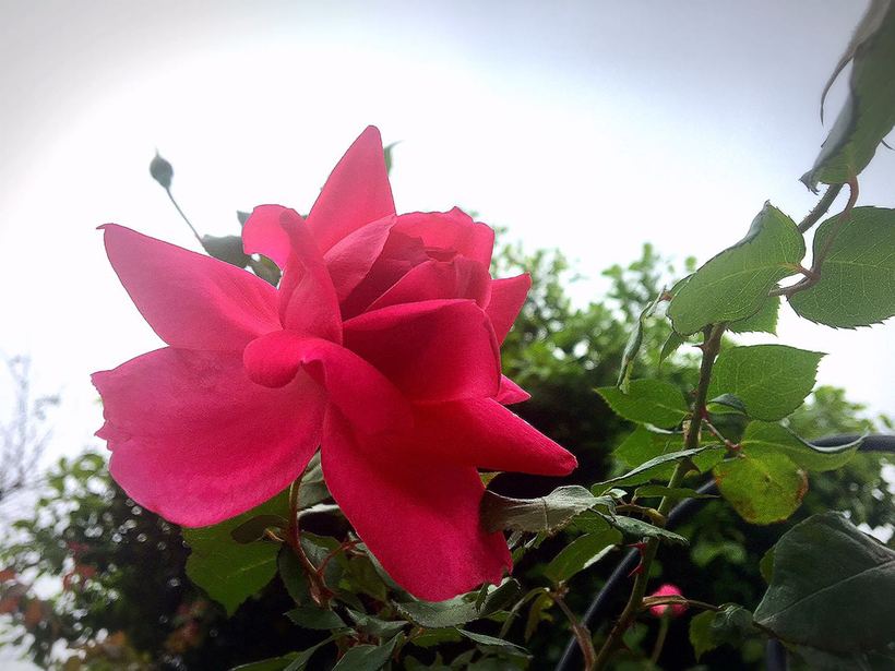 横琴相思瀑布要门票吗,相思瀑布珠海附近景点