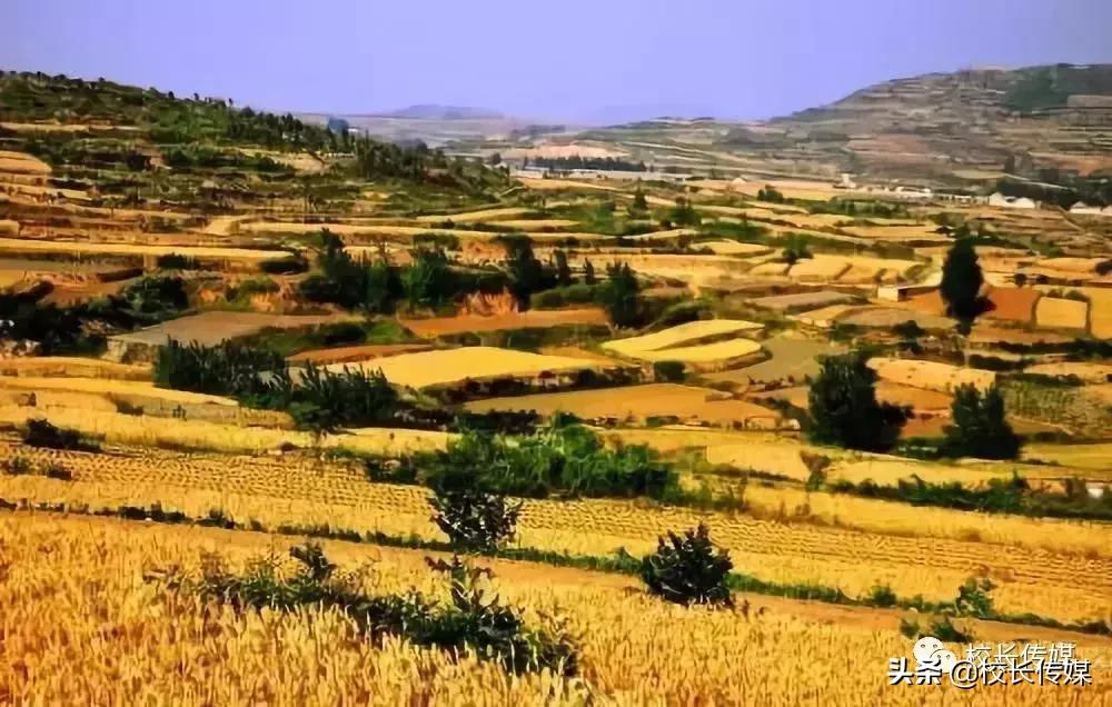 哈佛有多勤奋,哈佛世界第一