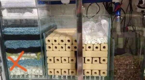 鱼缸过滤培菌效果最好的方式,鱼缸过滤培菌屋起什么作用