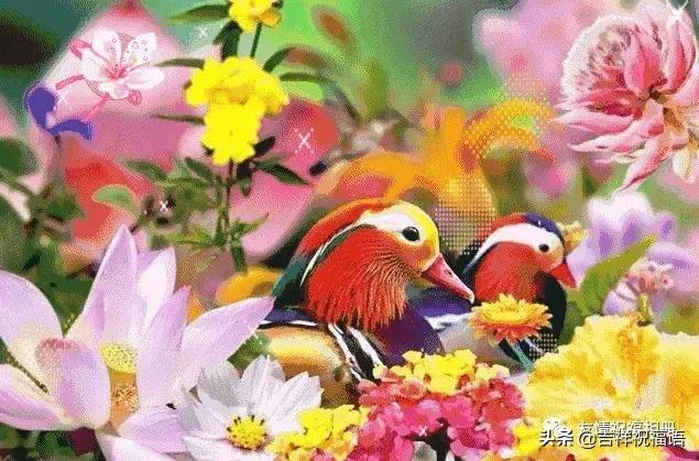 短短几字句句戳心,写得好的经典的句子