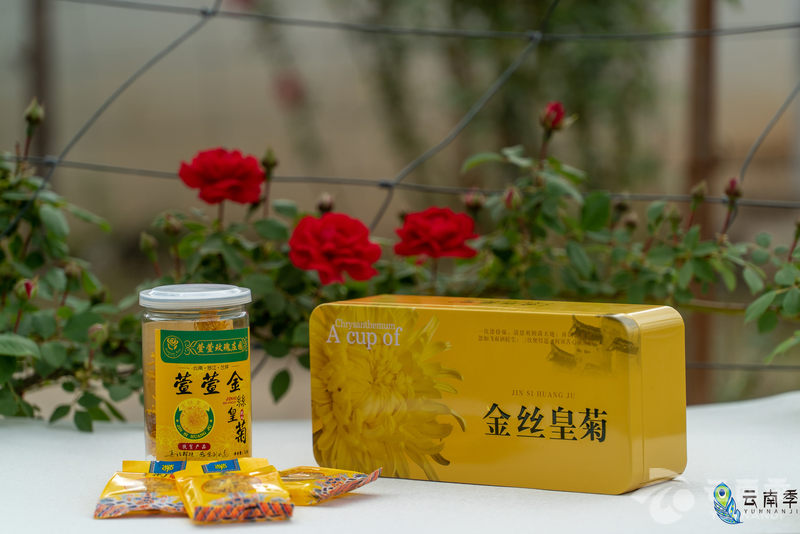 疫情宅家之宝：清热降火、舒肝明目一朵花就能泡一壶茶