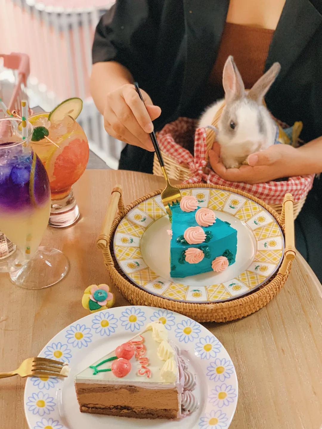 兔子馆三里屯,深圳三里屯兔子馆