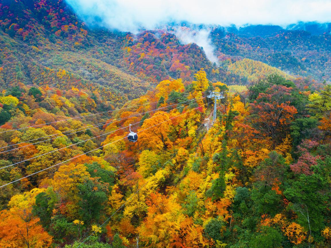 巴中光雾山红叶的最佳时间,红叶谷打卡地
