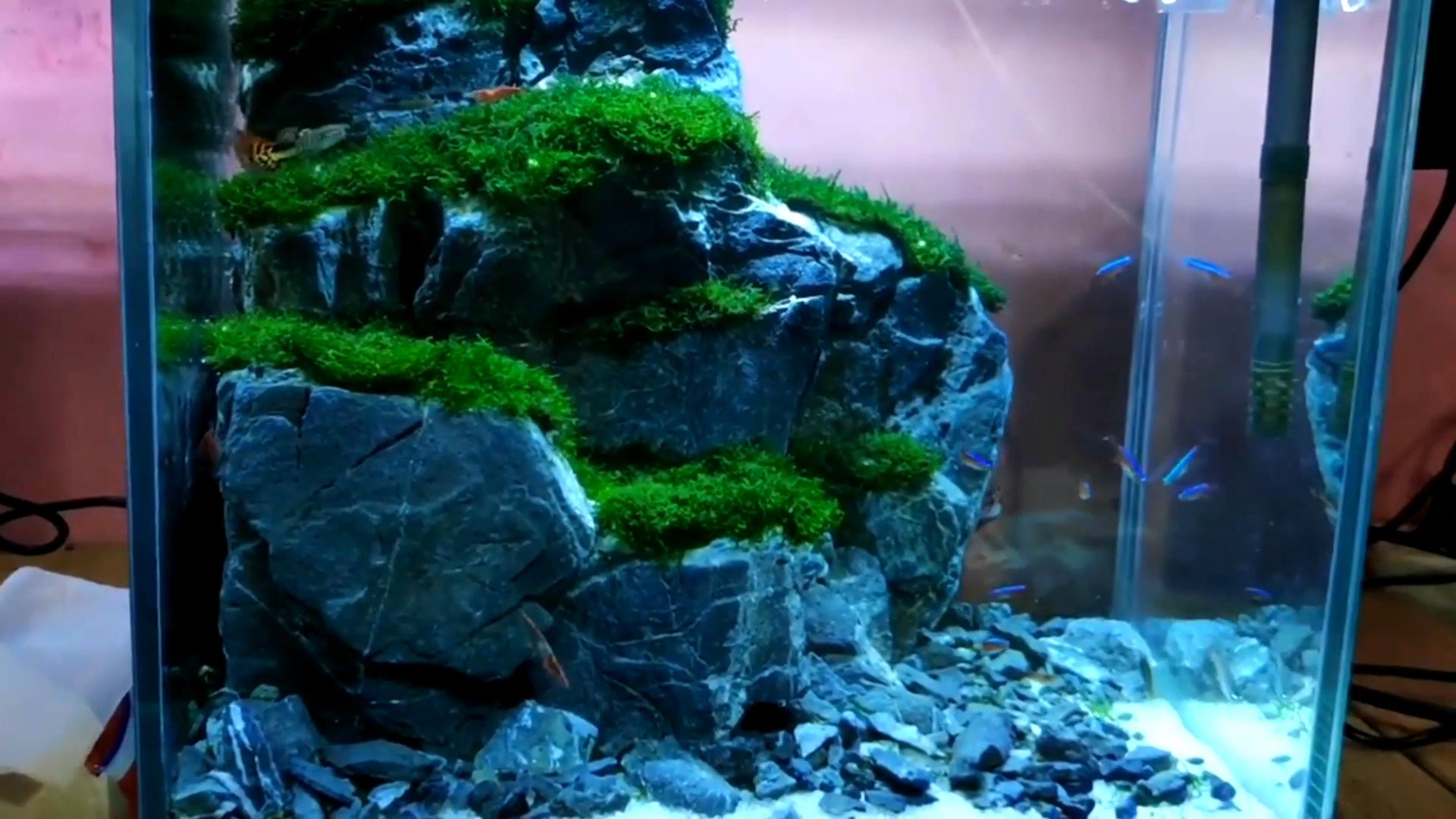 水陆缸石头拼接造景教程,真石头假山拼接造景