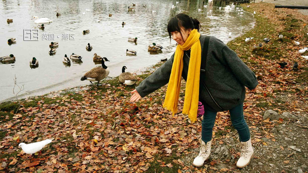 英国爱尔兰彼得兔,英国彼得兔的农庄