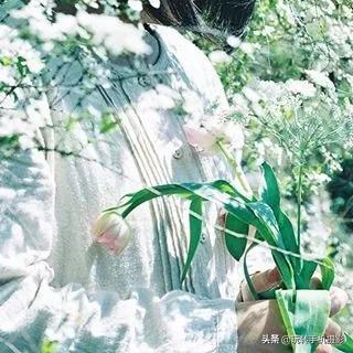 朋友圈九宫格怎么选择,朋友圈不需九宫格怎么操作