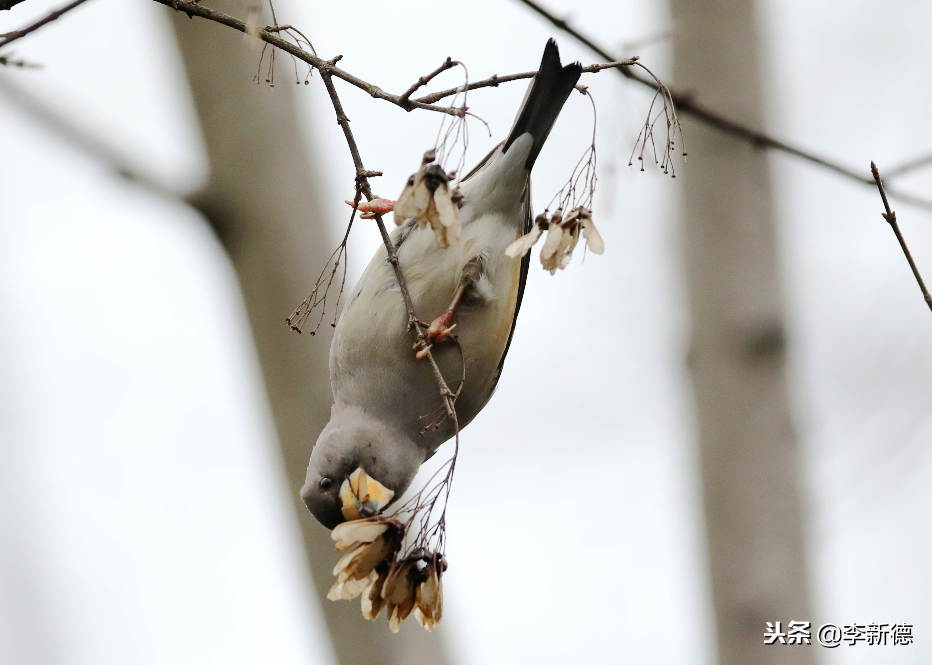 合肥高新区蜀峰湾,合肥市蜀峰湾