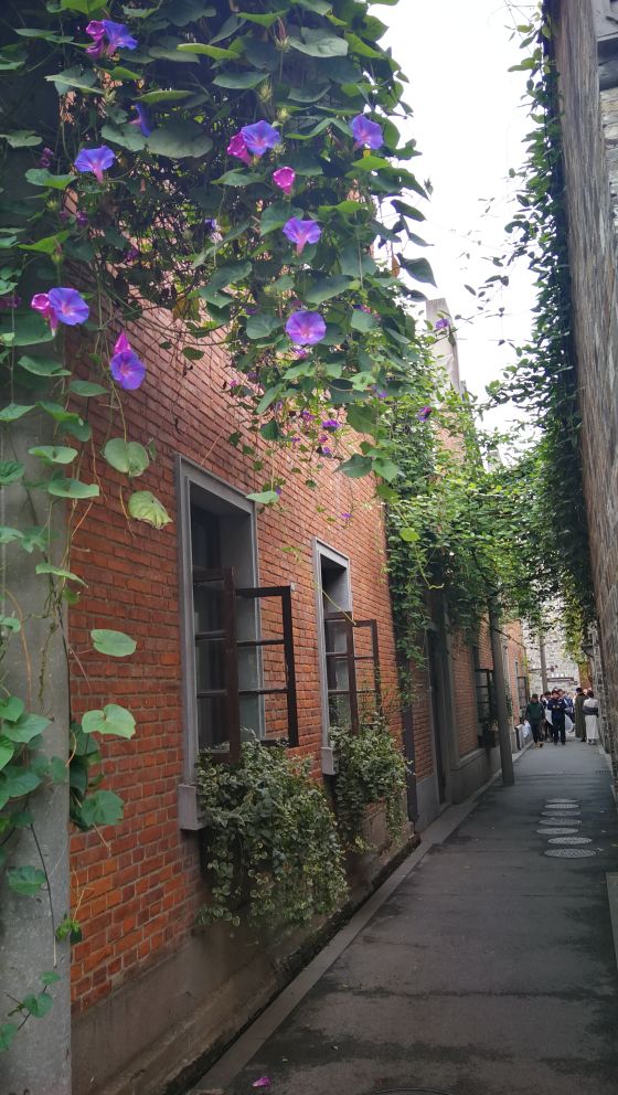 夫子庙和老门东靠得近吗,夫子庙与老门东之间距离