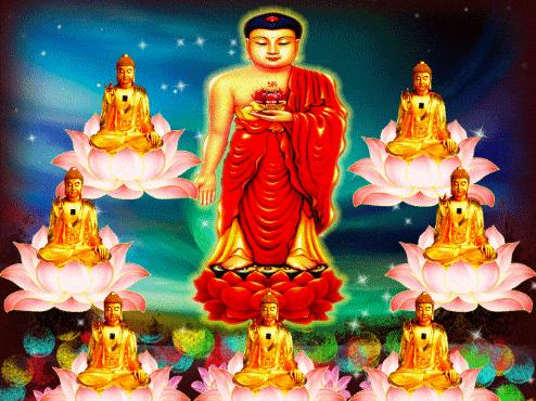 南无阿弥陀佛操,南无阿弥陀佛心咒