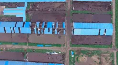 浑水做空瑞幸操作,浑水基金做空瑞幸咖啡