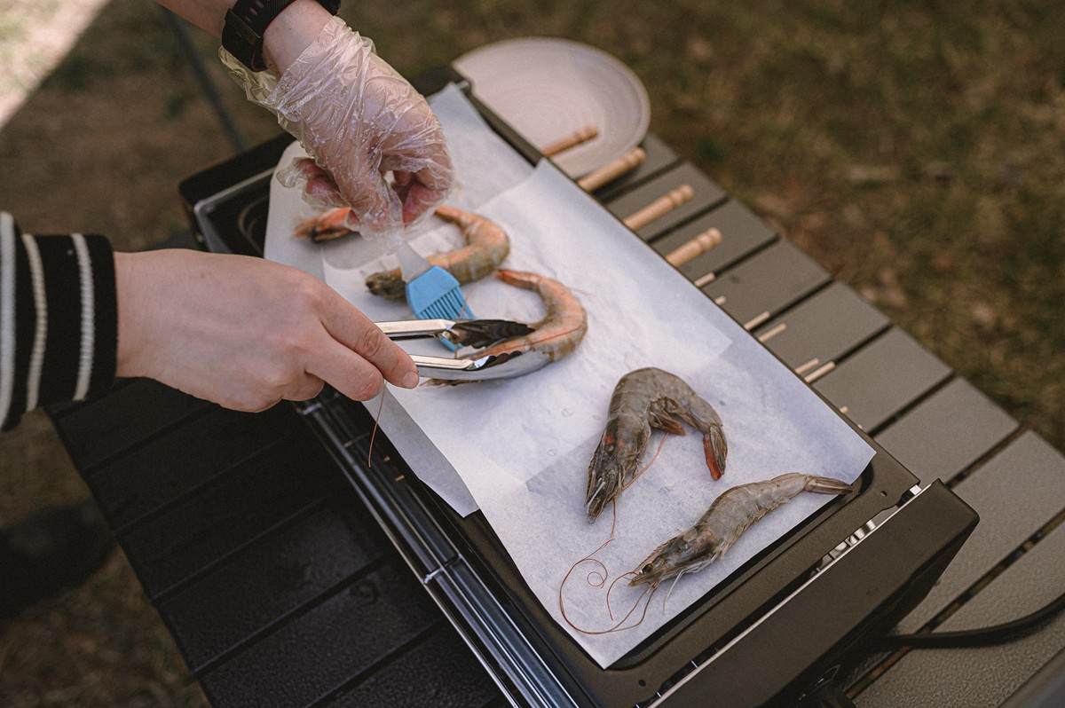 户外烧烤电源测评,户外电烤炉评测