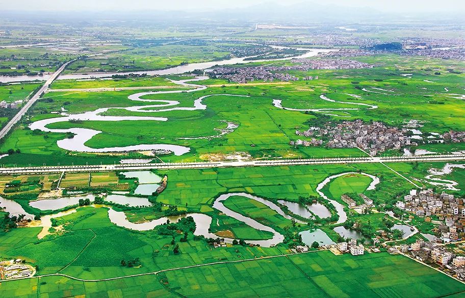 珠三角以西，漠*江阳**金三角茁壮生长