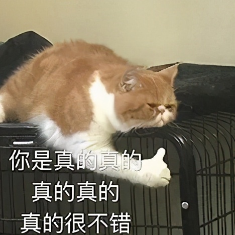 人保寿险温暖金生怎么返钱,人保温暖金生年金保险值得购买吗