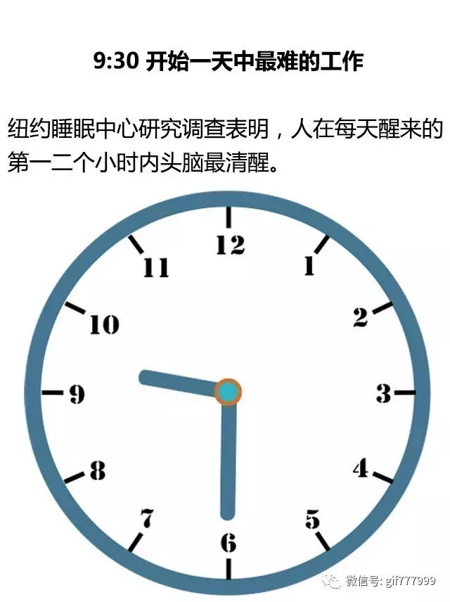 胖子的特征表现,胖子普遍有什么特征