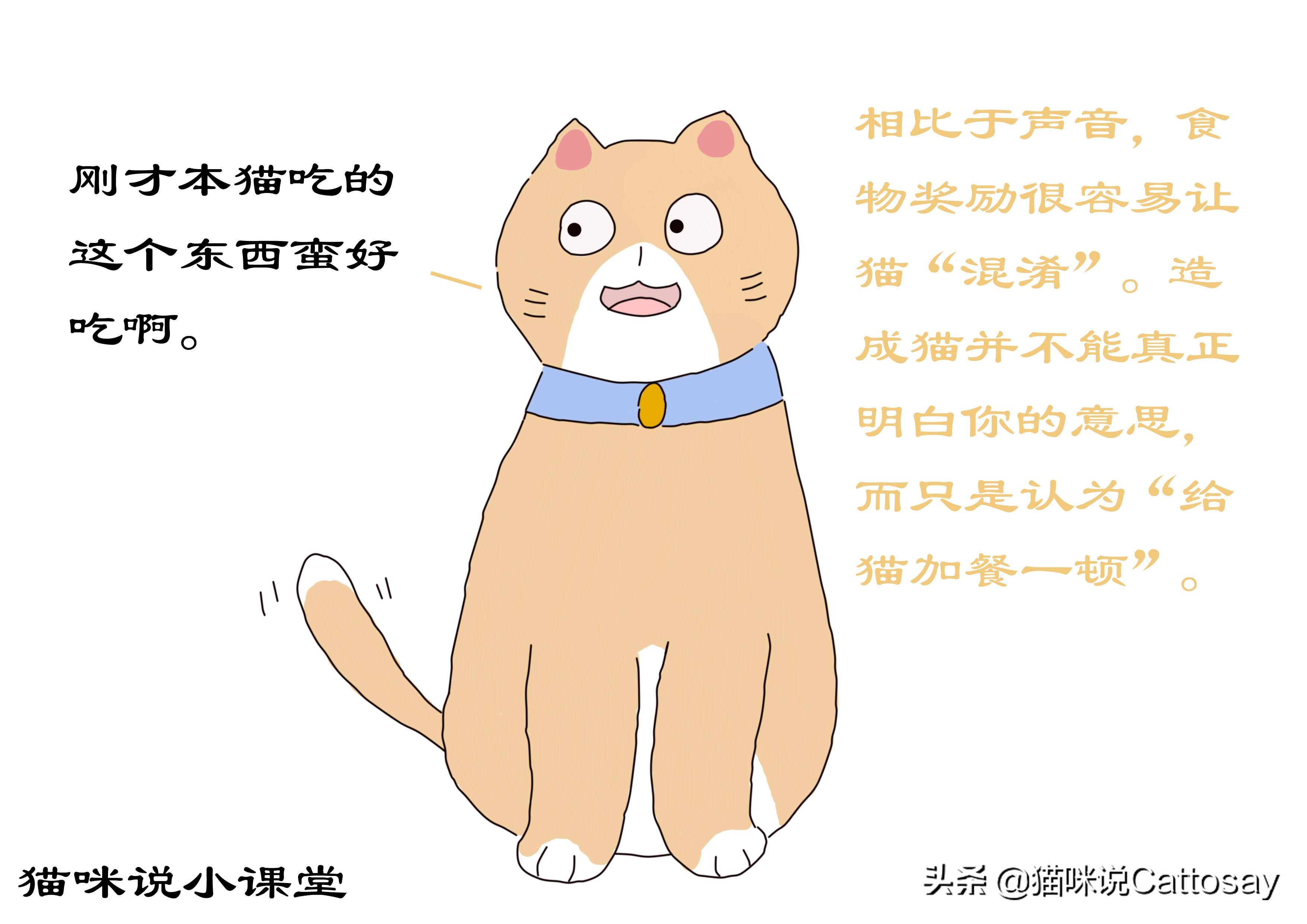 怎么训练猫咪才会让猫咪说话,夸猫怎么夸