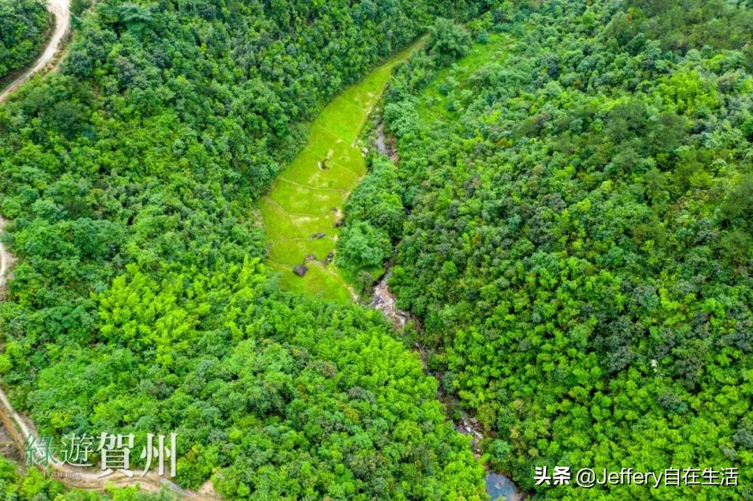 拍贺州｜莲塘镇大山深处的“一号基地”