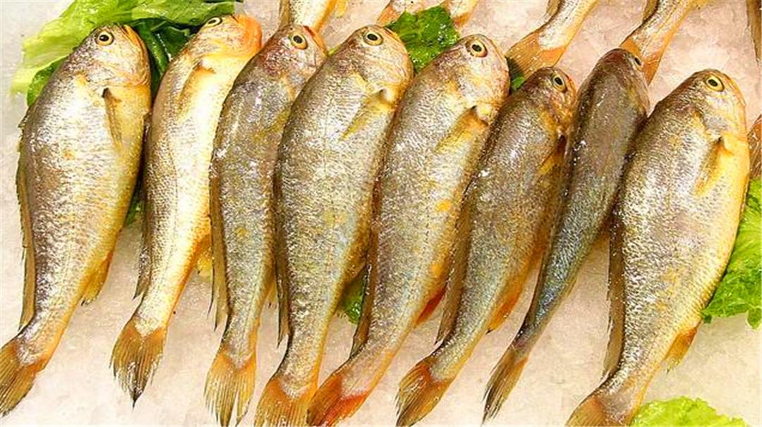 十种好吃不贵的正宗海鱼,十种好吃不贵的大海鱼