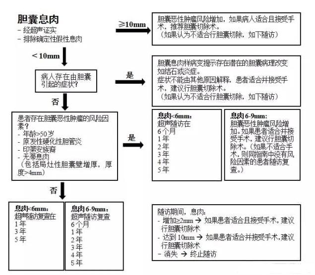胆囊息肉应该怎么治疗？一张图就让你能看懂