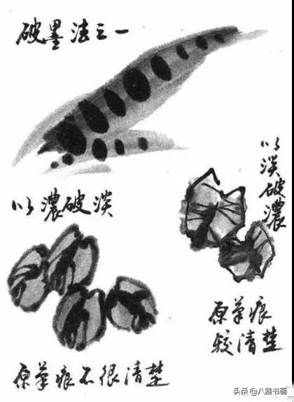 小写意花鸟画笔法,小写意花鸟画笔墨技法与创作