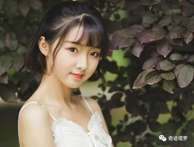 未来5月桃花运,2017年桃花旺盛