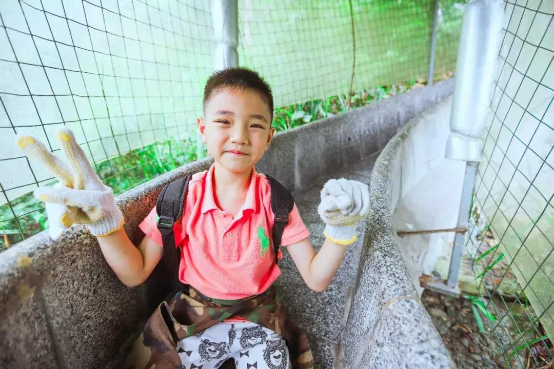 欢度六一共同成长,欢度六一儿童节