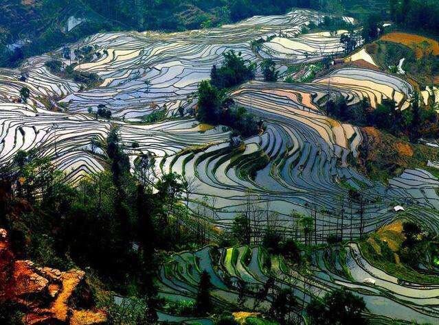 活了三十多年才明白一个道理配音,活了三十年才明白的道理是什么