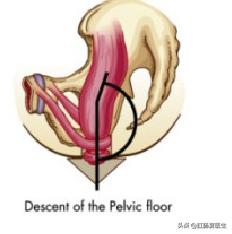 大便不顺畅的原因及调理方法,大便不顺畅有什么好方法