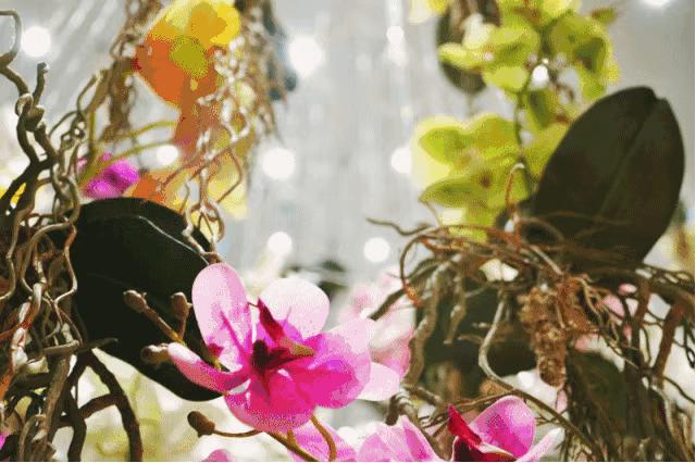 omg商品打折,omo女神节