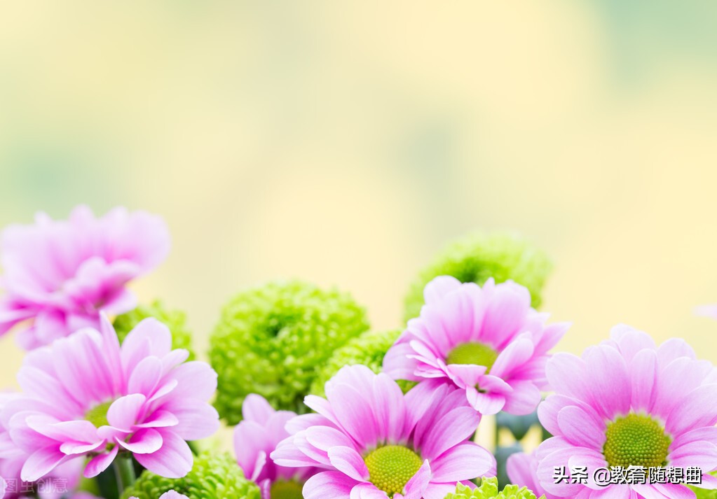 电摩中途没电怎么解决,车子中途没电了怎么办