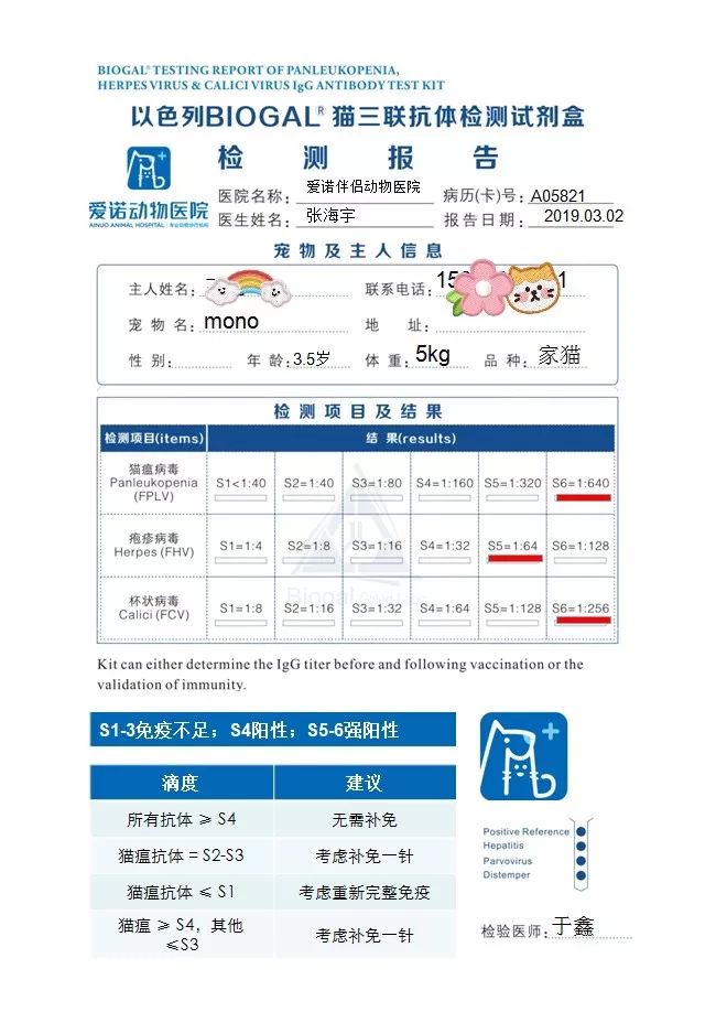 养猫咪新手入门必知疫苗怎么打,新手养猫疫苗怎么打