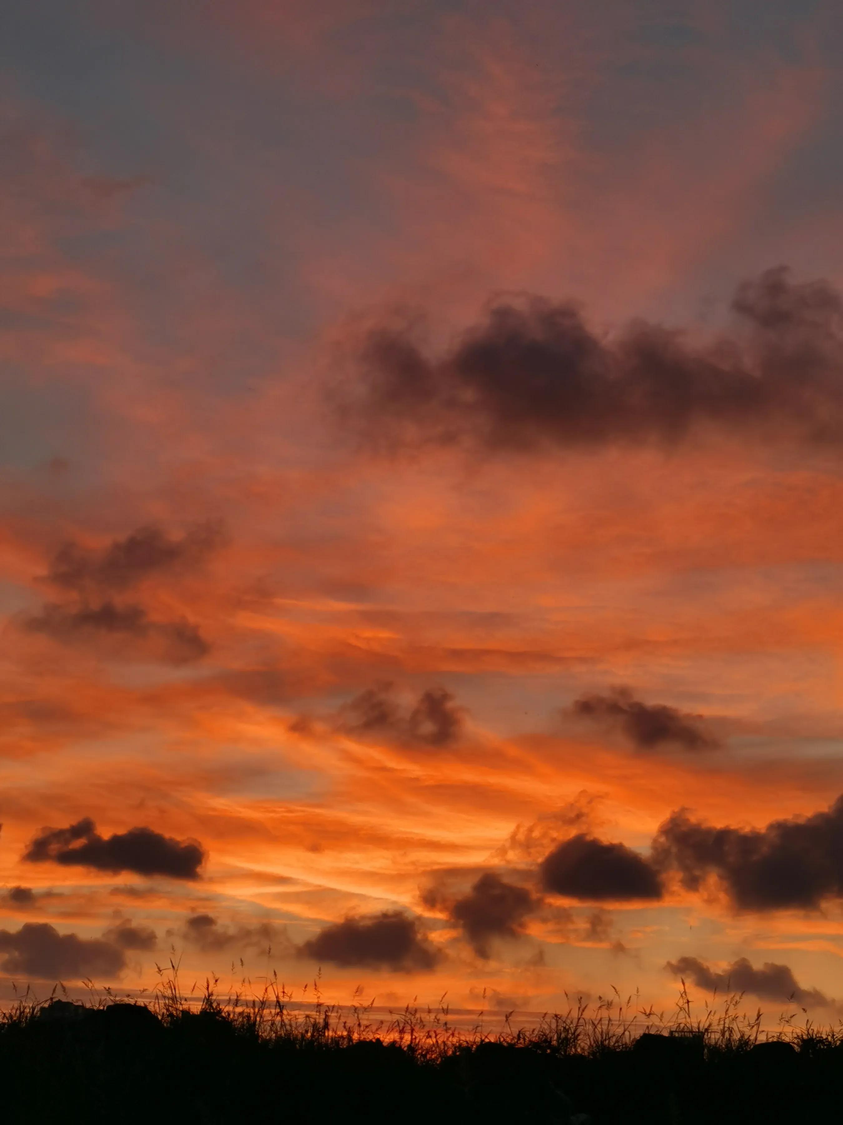 手拍世界作品集402期,2022年世界手机摄影大赛征稿