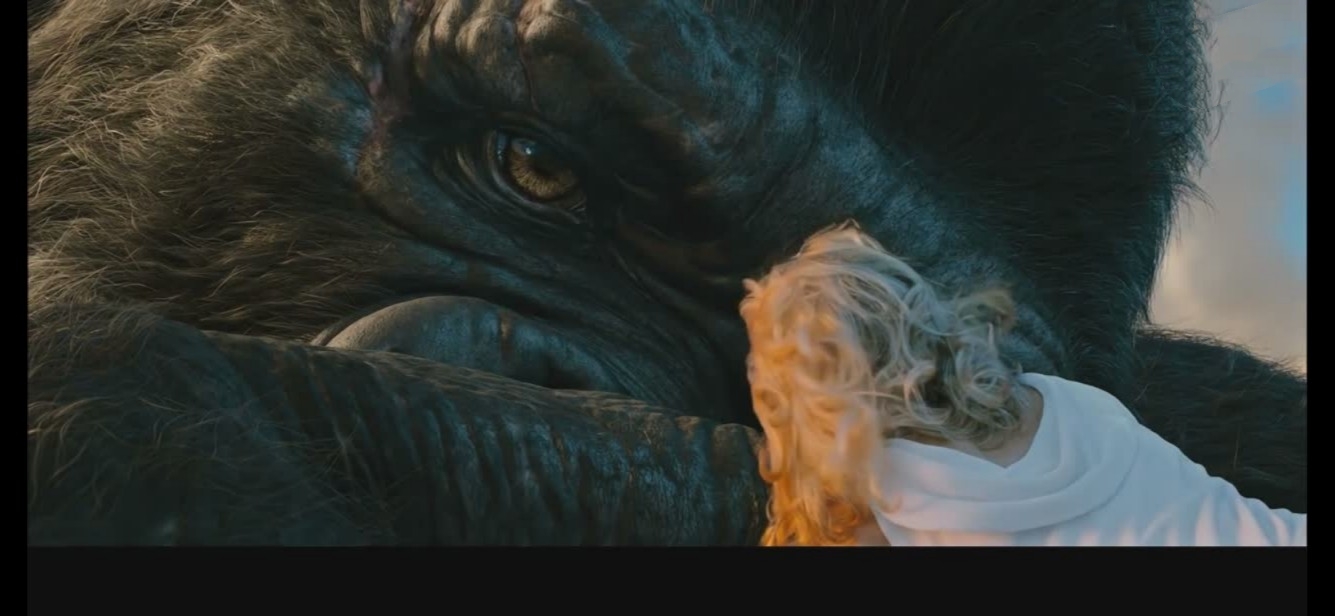 金刚电影背后的故事,金刚电影体现出爱情的片段