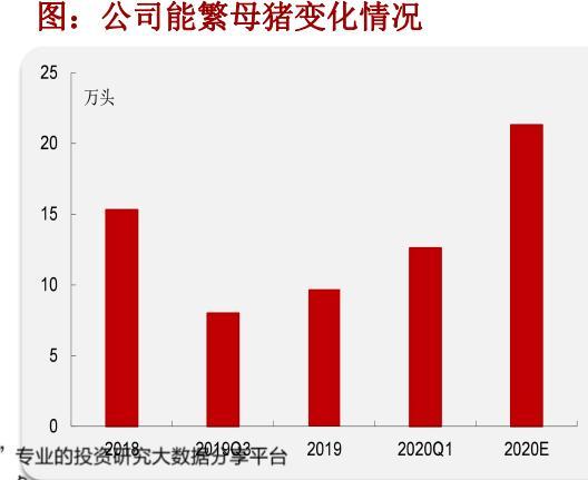 中粮肉食价值分析:性价比最高的猪肉股是他吗