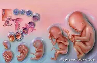 差点被勒死,才出生就丢在冰冷的地面,你相信这是我亲妈干的吗?