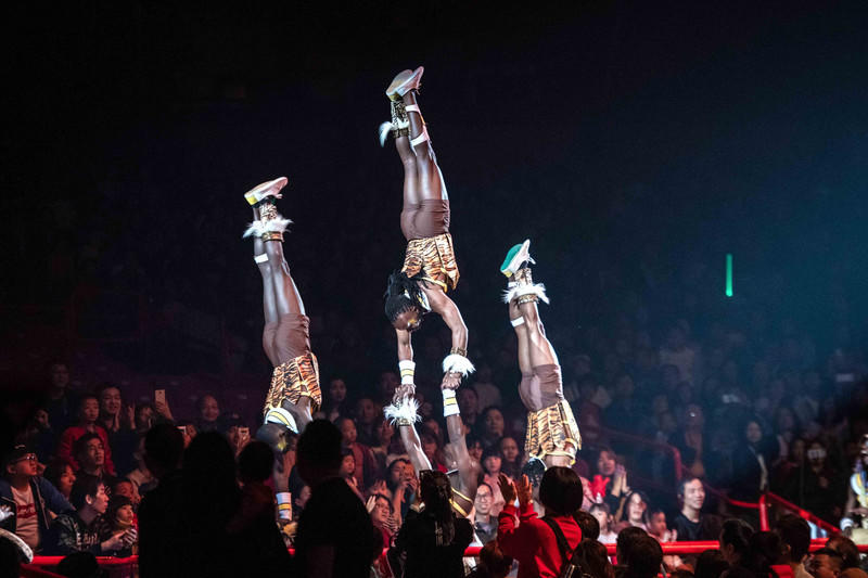 广州长隆野生动物世界的游玩攻略,广州长隆野生动物世界一日游回顾