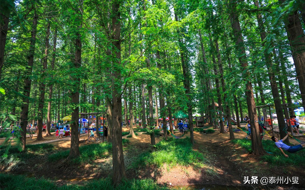 日照市出游攻略,日照市旅游一卡通