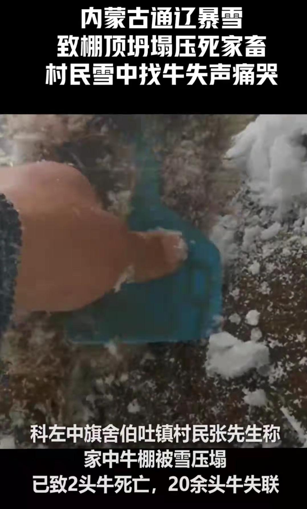 浴血奋战严寒,内蒙古通辽遭遇雪灾