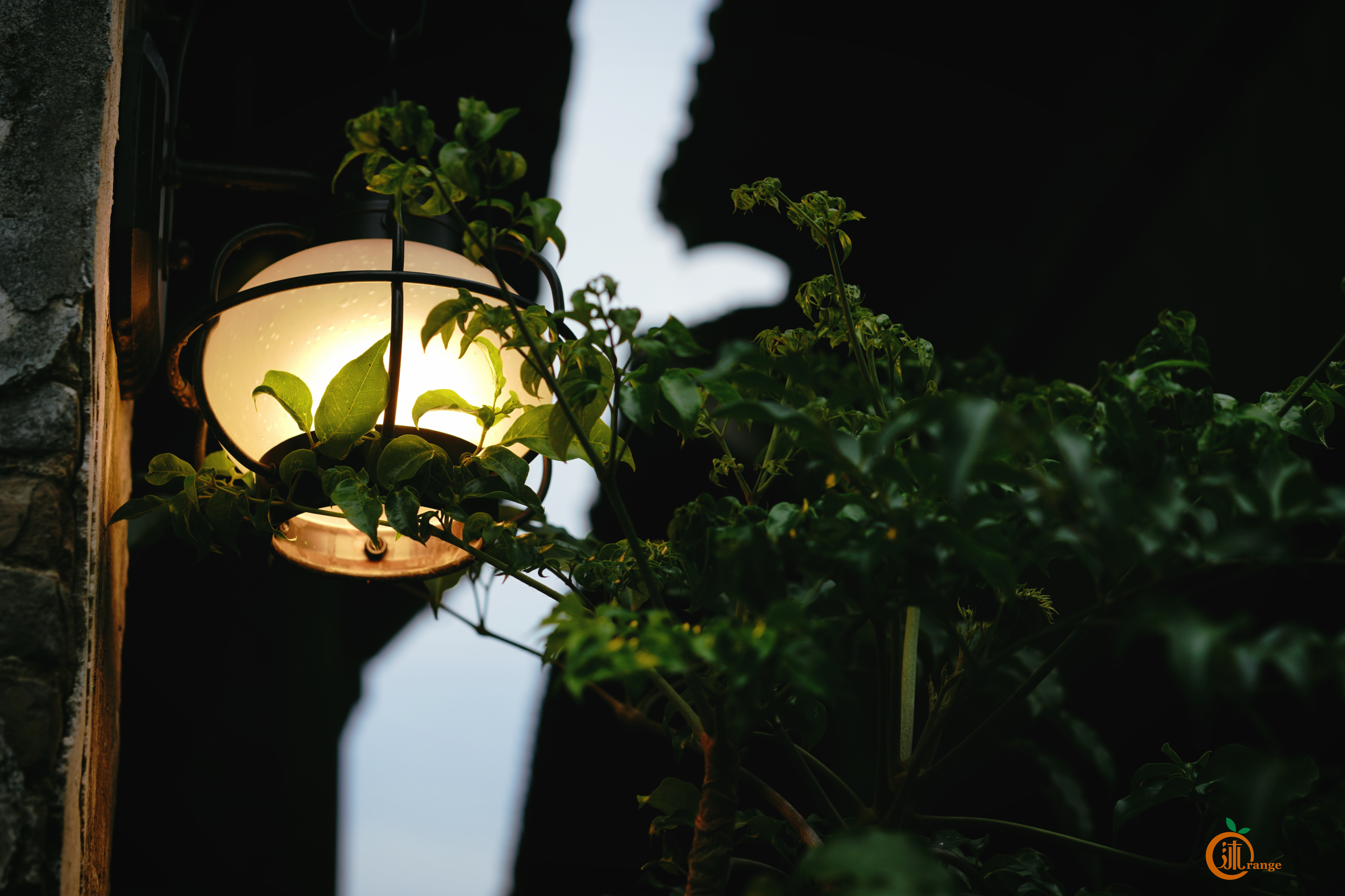 嘉兴城市底蕴,嘉兴为什么被称作鱼米之乡