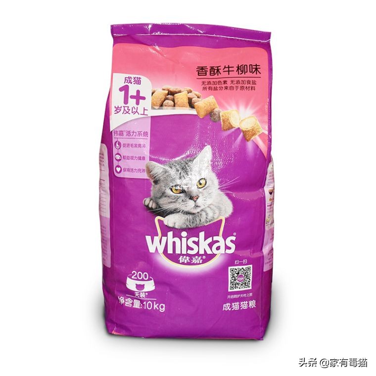 猫粮为何叫毒粮,猫粮和米饭哪个安全