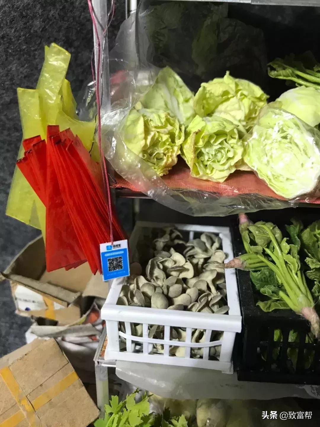 90后母亲被骗,90后妈妈因造假走红