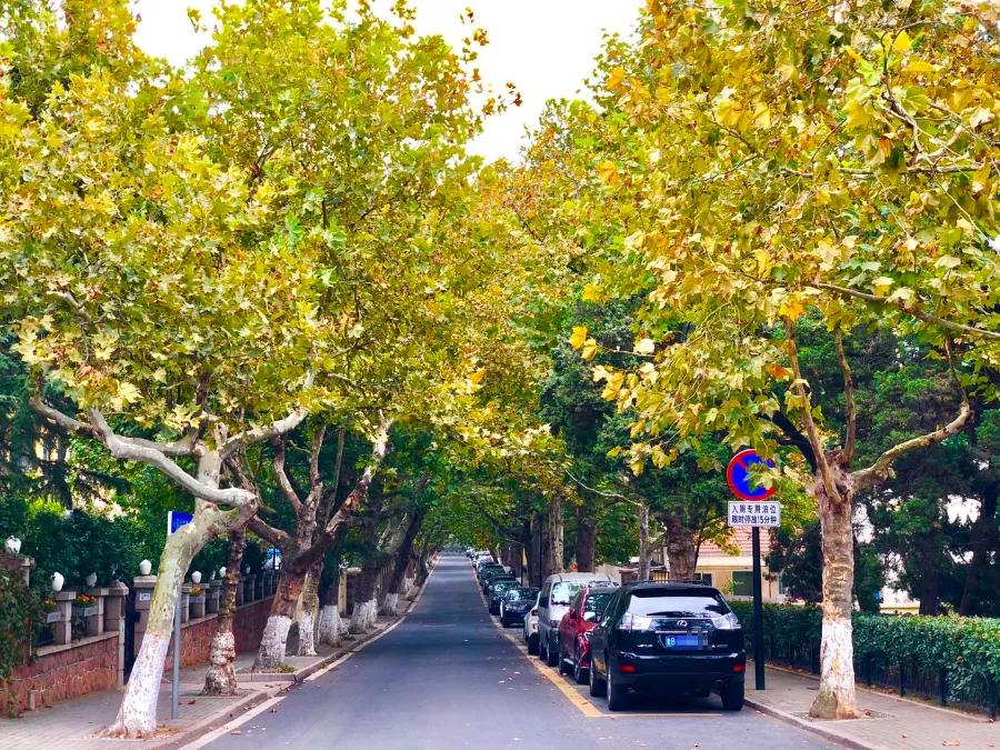 又一条最美自驾线路,又一条绝美进藏自驾公路