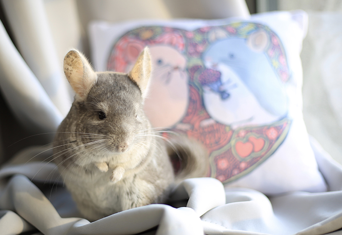 龙猫宫崎骏萌,龙猫漫画作品大全