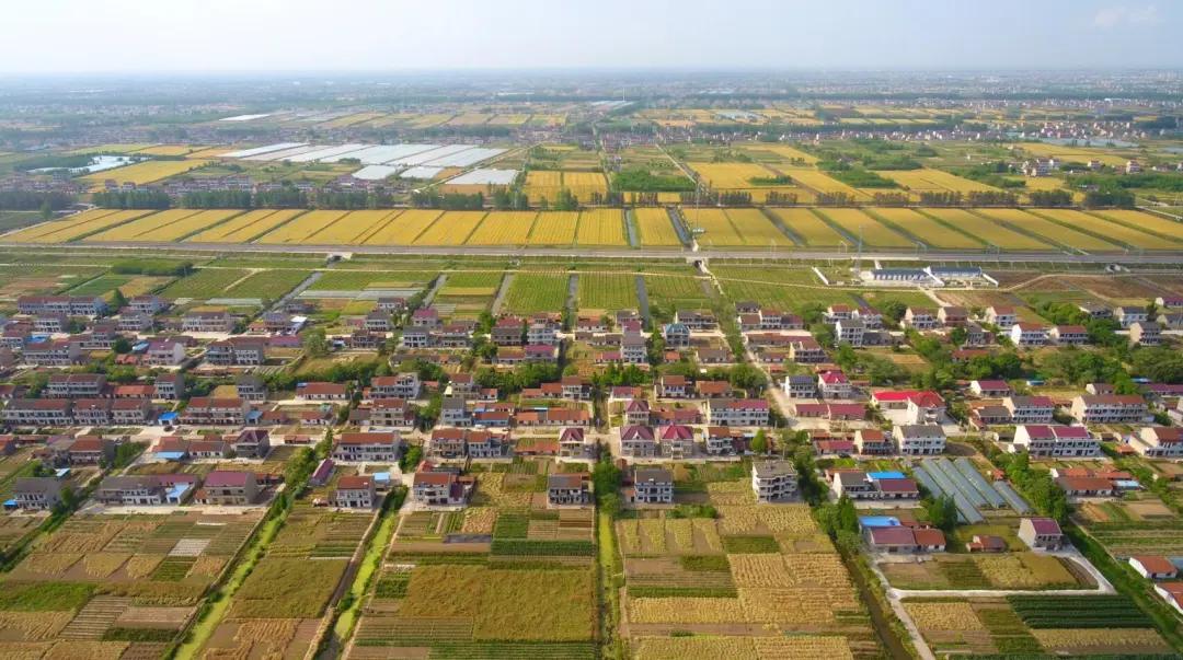 明知亏钱还是要做的是什么,明知亏本就该放手