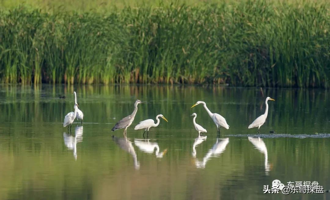 郑州世纪欢乐谷和马拉湾水上乐园,郑州海洋欢乐谷