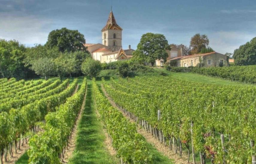 法国这座城市被称为“葡萄酒都”，这里盛产的葡萄酒享誉全世界