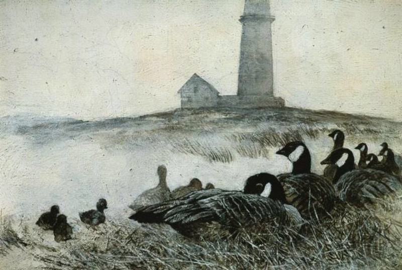 何多苓连环画雪雁,何多苓的经典创作雪雁